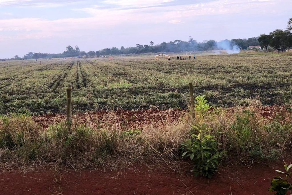 Índios ampliam invasão de áreas urbanas e espalham terror em Dourados Índios ampliam invasão de áreas urbanas e espalham terror em Dourados