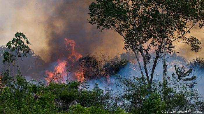 Grupo no WhatsApp contratou motoqueiros e motosserras para desmatar e incendiar a floresta Grupo no WhatsApp contratou motoqueiros e motosserras para desmatar e incendiar a floresta