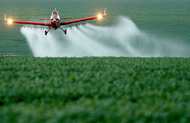 Anvisa vai reavaliar toxidade de sete ingredientes ativos de agrotóxicos Anvisa vai reavaliar toxidade de sete ingredientes ativos de agrotóxicos