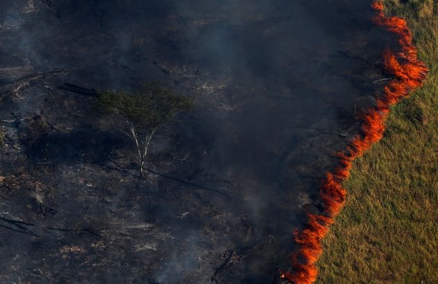 Polícia Federal inicia operação para apurar queimadas na Amazônia Polícia Federal inicia operação para apurar queimadas na Amazônia