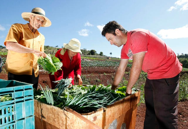 Governo federal quer aumentar a contratação de seguro rural no país Governo federal quer aumentar a contratação de seguro rural no país