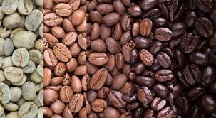 Brasil: 124 produtores disputam título de melhor café especial da safra 2019 Brasil: 124 produtores disputam título de melhor café especial da safra 2019
