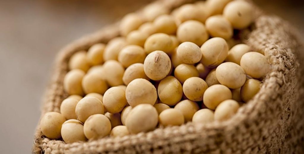 China compra 27 cargos de soja dos EUA nesta 2ª feira e puxa mercado em Chicago China compra 27 cargos de soja dos EUA nesta 2ª feira e puxa mercado em Chicago