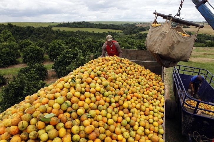 Exportação de suco de laranja do Brasil avança 24% entre julho e outubro, diz CitrusBR