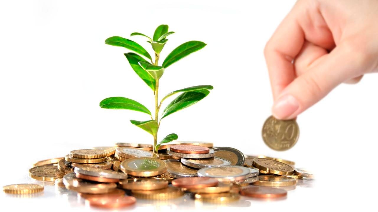Bancos Privados aumentam a concessão de crédito agrícola