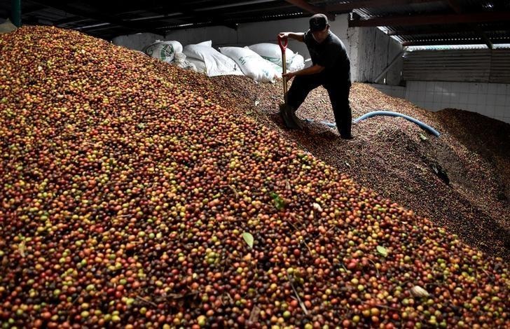 Exportação de café solúvel soma 3,3 mi de sacas no acumulado de 2019 Exportação de café solúvel soma 3,3 mi de sacas no acumulado de 2019