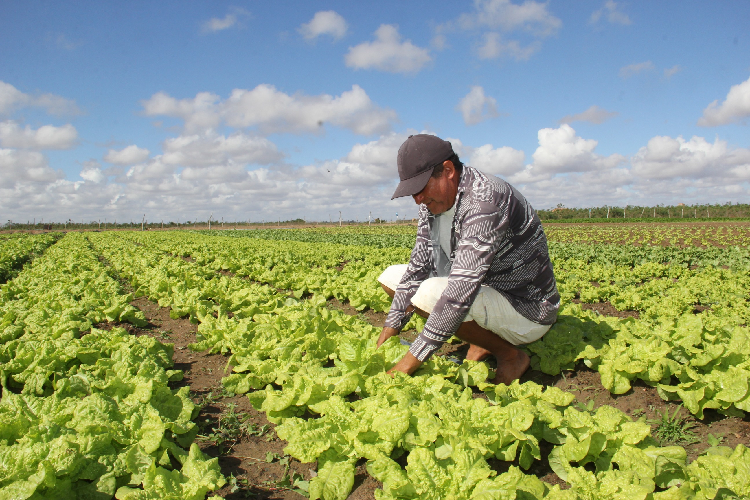 Garantia-Safra paga R$ 19,2 mi para agricultores de quatro estados Garantia-Safra paga R$ 19,2 mi para agricultores de quatro estados