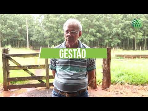 Em um ano, propriedade atendida pelo Senar/MS triplica produção de seringueiras
