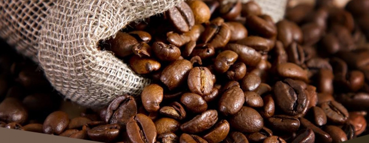 Café: Sem referência de Nova York, mercado interno tem dia de poucas movimentações no Brasil Café: Sem referência de Nova York, mercado interno tem dia de poucas movimentações no Brasil