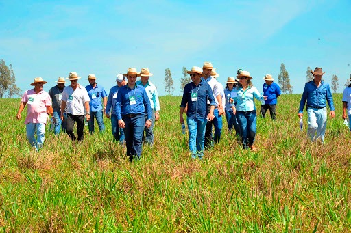 Embaixadores asiáticos conhecem modelos de produção agrícola e pecuário em Mato Grosso do Sul Embaixadores asiáticos conhecem modelos de produção agrícola e pecuário em Mato Grosso do Sul