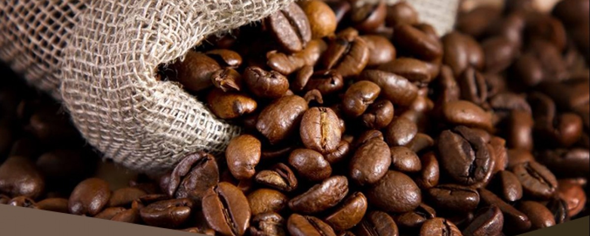 Café encerra sessão desta 4ª com baixas de mais de 200 pontos Café encerra sessão desta 4ª com baixas de mais de 200 pontos