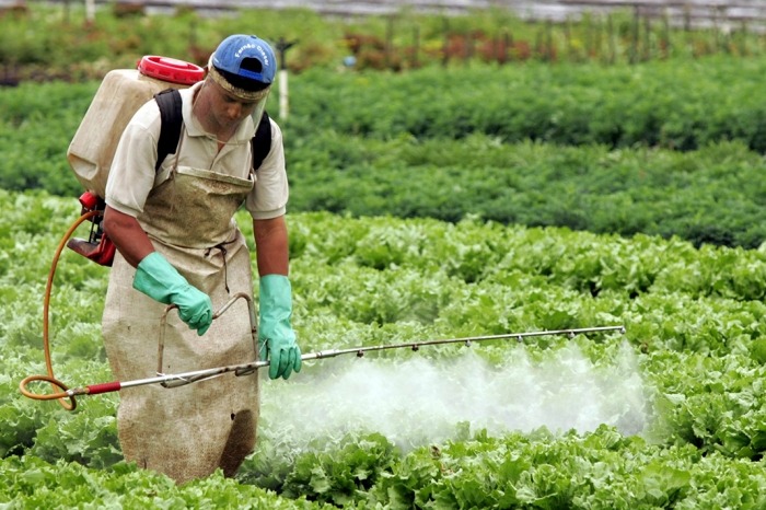 Santa Catarina pretende manter isenção de impostos para defensivos agrícolas Santa Catarina pretende manter isenção de impostos para defensivos agrícolas