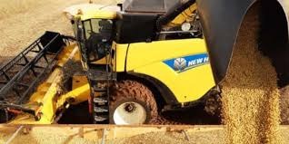 Colheita de soja no Brasil atinge metade da área cultivada, diz AgRural