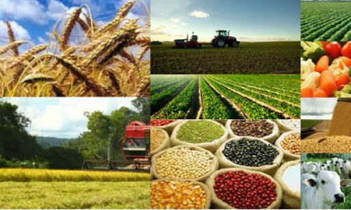 Do café ao trigo, agronegócio foca garantia de abastecimento ante coronavírus Do café ao trigo, agronegócio foca garantia de abastecimento ante coronavírus