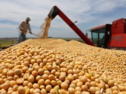 Colheita da safra de soja 2019/20 atinge 76% da área cultivada, diz AgRural Colheita da safra de soja 2019/20 atinge 76% da área cultivada, diz AgRural