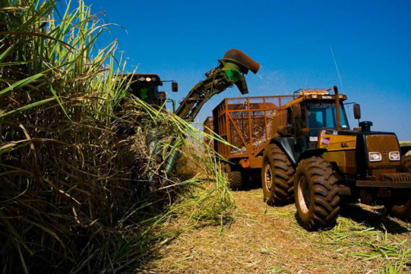 Manifestação dos canavieiros destacará nova postura do governo Serão beneficiados 17 mil produtores com a liberação de R$ 125 milhões