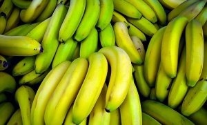 Banana: A reflexo da pandemia, preços caem Banana: A reflexo da pandemia, preços caem