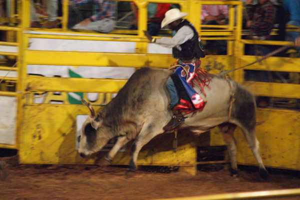 Rodeio começa hoje na Expoagro Rodeio começa hoje na Expoagro