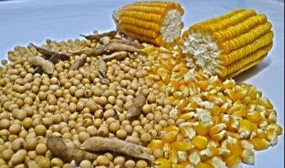 O Programa de Desenvolvimento da Produção Agropecuária-MS O Programa de Desenvolvimento da Produção Agropecuária-MS