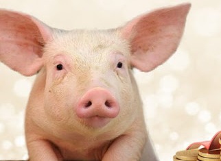 Suíno: preço do animal vivo fica estável em boa parte das praças produtoras Suíno: preço do animal vivo fica estável em boa parte das praças produtoras