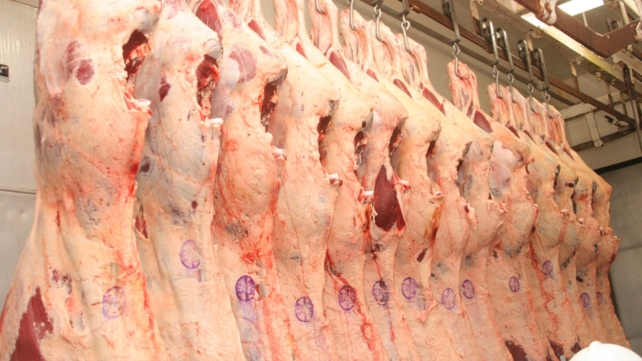 Exportação de carne bovina atinge recorde em abril Exportação de carne bovina atinge recorde em abril