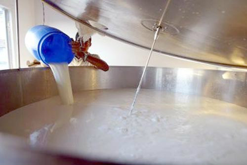 Suspeita sobre uso de antibiótico em leite cru é descartada Todo o produto apreendido foi transformado em 77,2 toneladas de leite em pó integral