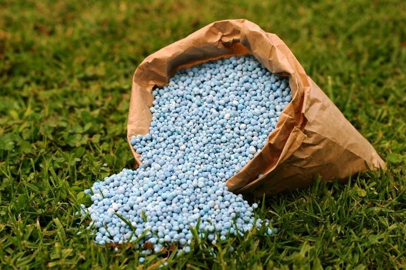 Fertilizantes para a safra de verão são tema do Cooperativismo em Notícia Fertilizantes para a safra de verão são tema do Cooperativismo em Notícia