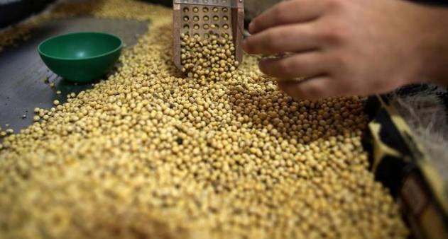 Brasil tem quase 40% da nova safra já comercializada, mas momento de menos negócios Brasil tem quase 40% da nova safra já comercializada, mas momento de menos negócios
