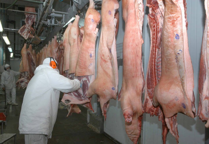 Exportação de carne suína do Brasil avança 37% no 1º semestre puxada pela China