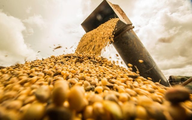 Agro: 40% das exportações do Brasil no 1º semestre foram para a China Agro: 40% das exportações do Brasil no 1º semestre foram para a China