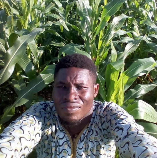 Africanos vivem revolução digital agrícola (continente poderá se tornar o centro alimentar do mundo) Africanos vivem revolução digital agrícola (continente poderá se tornar o centro alimentar do mundo)