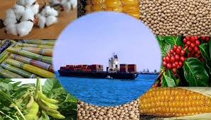 CNA lança estudo inédito sobre acordo de livre comércio entre Mercosul e Canadá