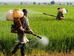 Anvisa está autorizada a revisar data para proibição de uso do paraquat