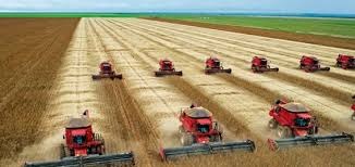 Com o Brasil afogado em crise econômica, só a agricultura cresce Com o Brasil afogado em crise econômica, só a agricultura cresce