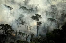 Força-tarefa para combate a incêndios na Amazônia será ampliada Força-tarefa para combate a incêndios na Amazônia será ampliada