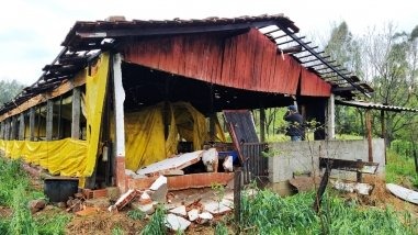 SC: Suinocultores têm granjas destruídas pelas chuvas e tentam fazer carregamento dos animais SC: Suinocultores têm granjas destruídas pelas chuvas e tentam fazer carregamento dos animais
