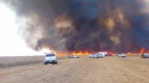 Incêndio de grandes proporções atinge fazenda em MT e consome lavouras de algodão Incêndio de grandes proporções atinge fazenda em MT e consome lavouras de algodão
