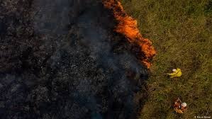 Produtores rurais do Pantanal analisam impactos das queimadas na pecuária Produtores rurais do Pantanal analisam impactos das queimadas na pecuária