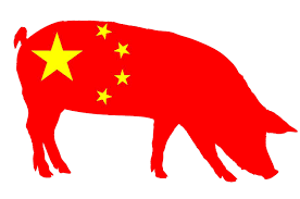 Peste suína: China diz que vacina contra doença entrará em testes de produção Peste suína: China diz que vacina contra doença entrará em testes de produção