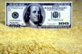 Produtores de arroz se posicionam contra retirada de tarifa sobre importação Produtores de arroz se posicionam contra retirada de tarifa sobre importação
