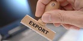 Exportação de milho cresce 56% em agosto, mas fecha o mês 7% menor do que mesmo período de 2019 Exportação de milho cresce 56% em agosto, mas fecha o mês 7% menor do que mesmo período de 2019
