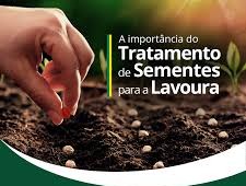 A importância e os benefícios do tratamento de sementes na soja A importância e os benefícios do tratamento de sementes na soja