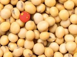 China comprou US$ 24 bilhões do agro brasileiro de janeiro a julho China comprou US$ 24 bilhões do agro brasileiro de janeiro a julho