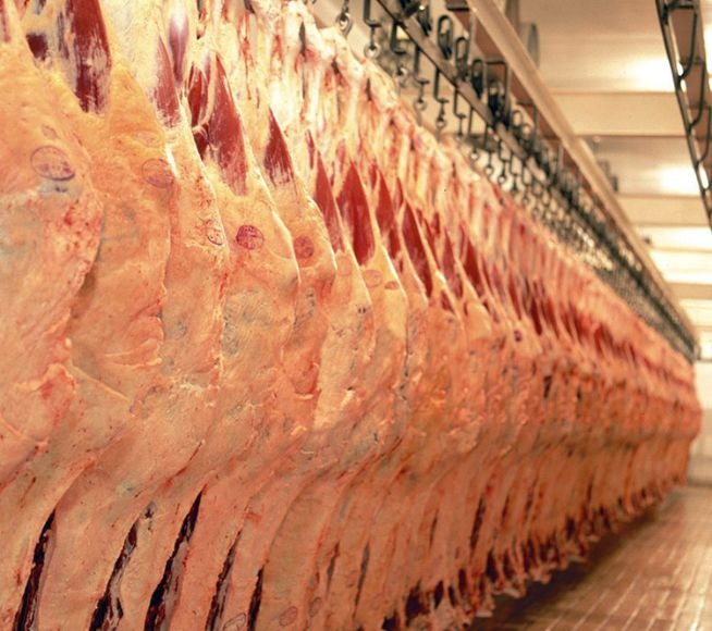 Abrafrigo: Brasil exporta recorde de 191,1 mil t de carne bovina em agosto Abrafrigo: Brasil exporta recorde de 191,1 mil t de carne bovina em agosto