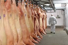 Primeira semana de exportação de carne suína em setembro tem resultados inferiores ao final de agosto Primeira semana de exportação de carne suína em setembro tem resultados inferiores ao final de agosto