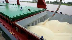 EUA, Índia, Tailândia? Saiba de onde virá o arroz importado pelo Brasil