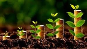 Valor Bruto da Produção Agropecuária deve ser recorde de R$ 823 bi, diz CNA