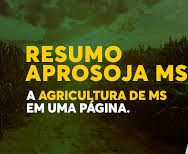Aprosoja MS: Previsto novo recorde de consumo de soja para 2021