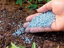 Aprosoja/MS avalia fertilizantes que serão utilizados na safra 2020/21 Aprosoja/MS avalia fertilizantes que serão utilizados na safra 2020/21
