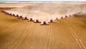 IBGE: safra agrícola brasileira alcança valor de produção recorde de R$ 361 bilhões em 2019, alta de 5,1% IBGE: safra agrícola brasileira alcança valor de produção recorde de R$ 361 bilhões em 2019, alta de 5,1%